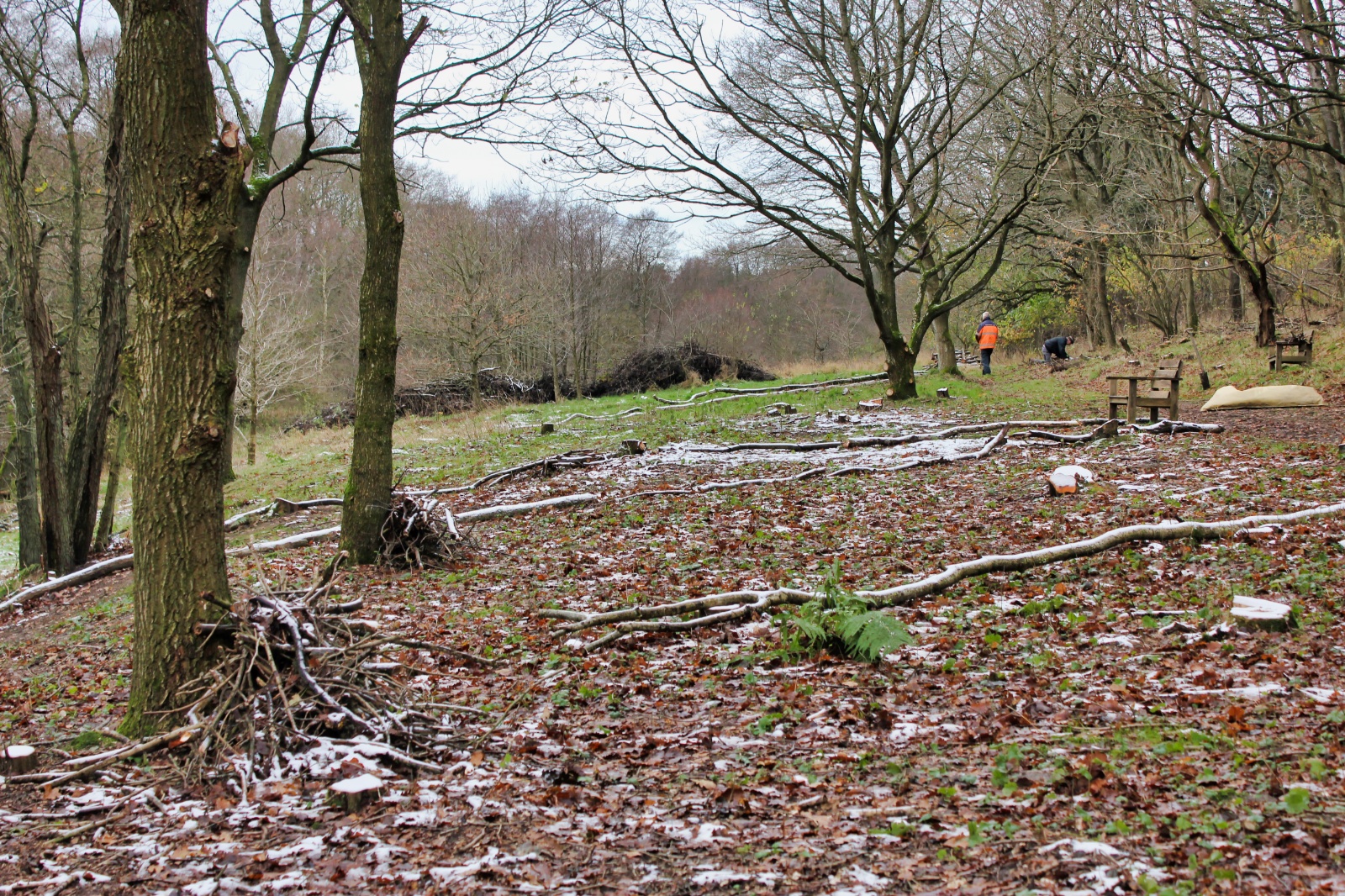 23. november - plantning